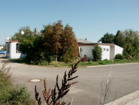 ESV